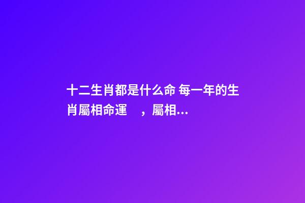 十二生肖都是什么命 每一年的生肖屬相命運，屬相與命運-第1張-觀點-玄機派